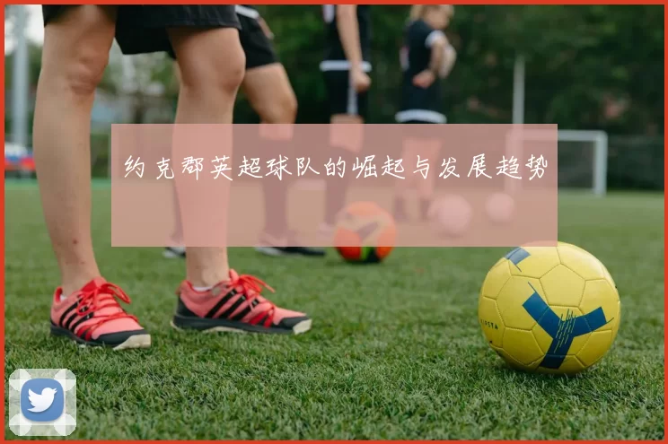 约克郡英超球队的崛起与发展趋势