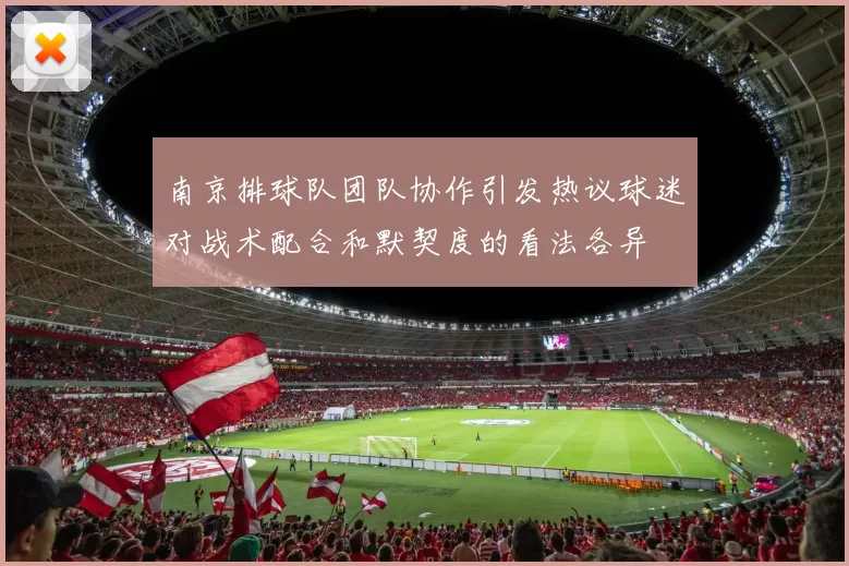 南京排球队团队协作引发热议球迷对战术配合和默契度的看法各异
