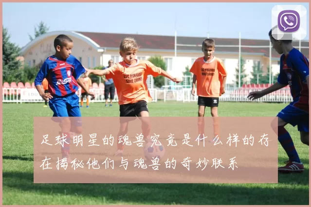 足球明星的魂兽究竟是什么样的存在揭秘他们与魂兽的奇妙联系