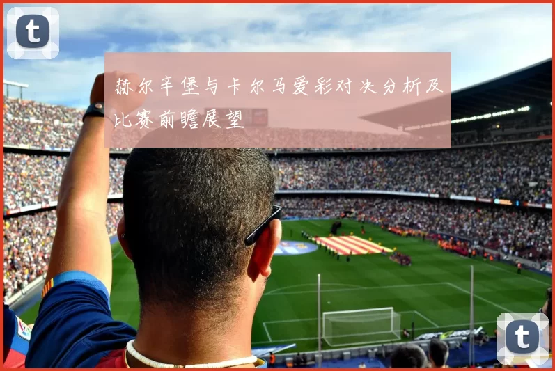 赫尔辛堡与卡尔马爱彩对决分析及比赛前瞻展望