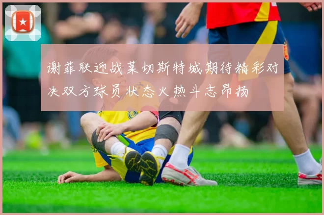 谢菲联迎战莱切斯特城期待精彩对决双方球员状态火热斗志昂扬