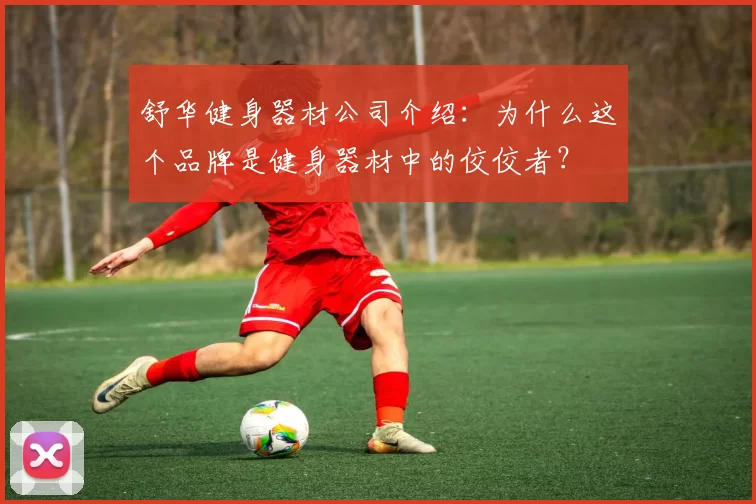舒华健身器材公司介绍：为什么这个品牌是健身器材中的佼佼者？