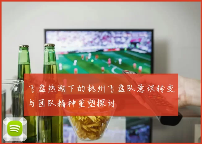 飞盘热潮下的杭州飞盘队意识转变与团队精神重塑探讨
