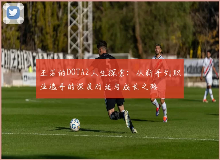 王芳的DOTA2人生探索：从新手到职业选手的深度对话与成长之路