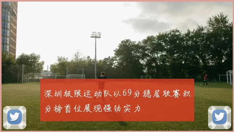 深圳极限运动队以69分稳居联赛积分榜首位展现强劲实力
