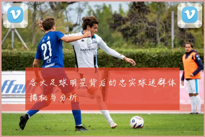 各大足球明星背后的忠实球迷群体揭秘与分析