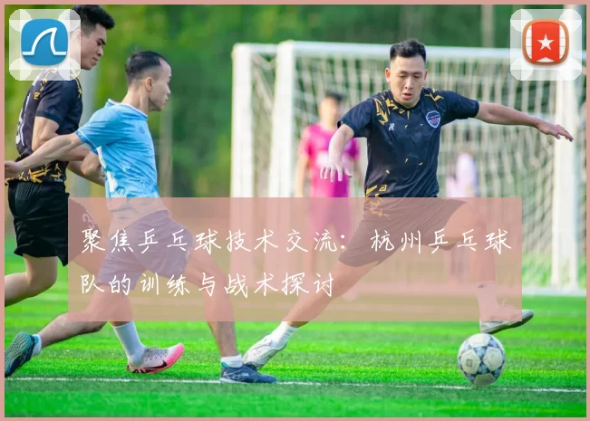 聚焦乒乓球技术交流：杭州乒乓球队的训练与战术探讨