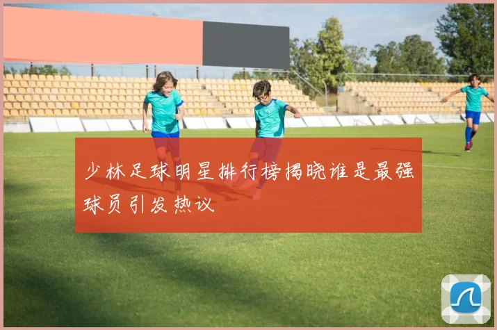少林足球明星排行榜揭晓谁是最强球员引发热议