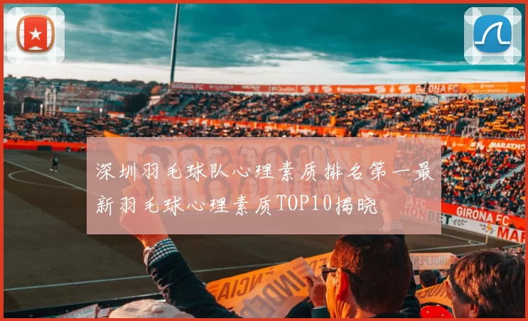 深圳羽毛球队心理素质排名第一最新羽毛球心理素质TOP10揭晓