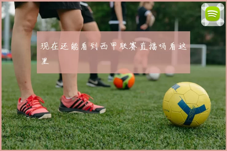 现在还能看到西甲联赛直播吗看这里